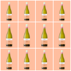 2023 Arneis - 12 bottle case