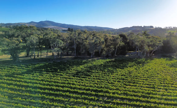Orange Winery Weekend Guide for a Great Escape