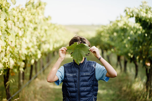Sustainability in our vineyard