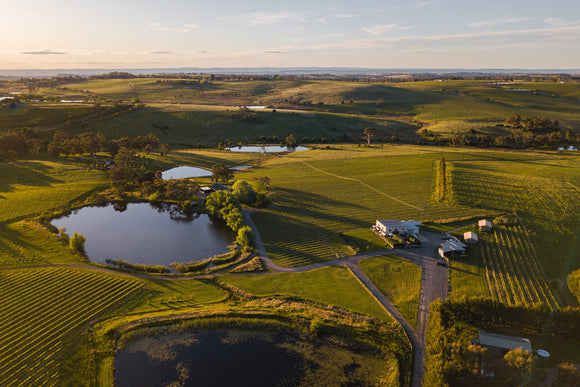 3 Best Wineries in Orange NSW Worth the Drive