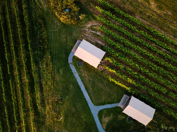 Luxury Vineyard Stays NSW for a Proper Escape