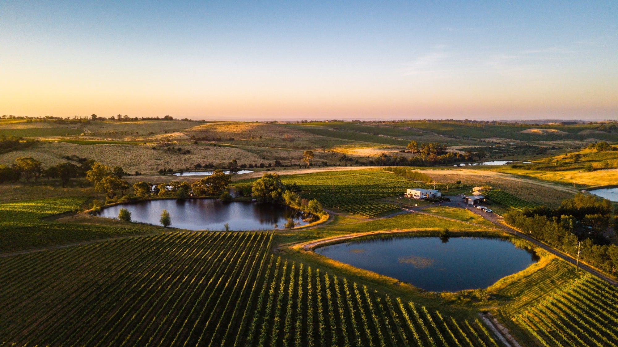 Why the Orange NSW Wine Region Tastes Different