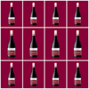 2023 Colour Series Pinot Noir 777 - 12 bottle case