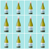 2023 Sauvignon Blanc Fumé 12 bottle case