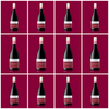 2024 Pinot Noir 777 - 12 bottle case